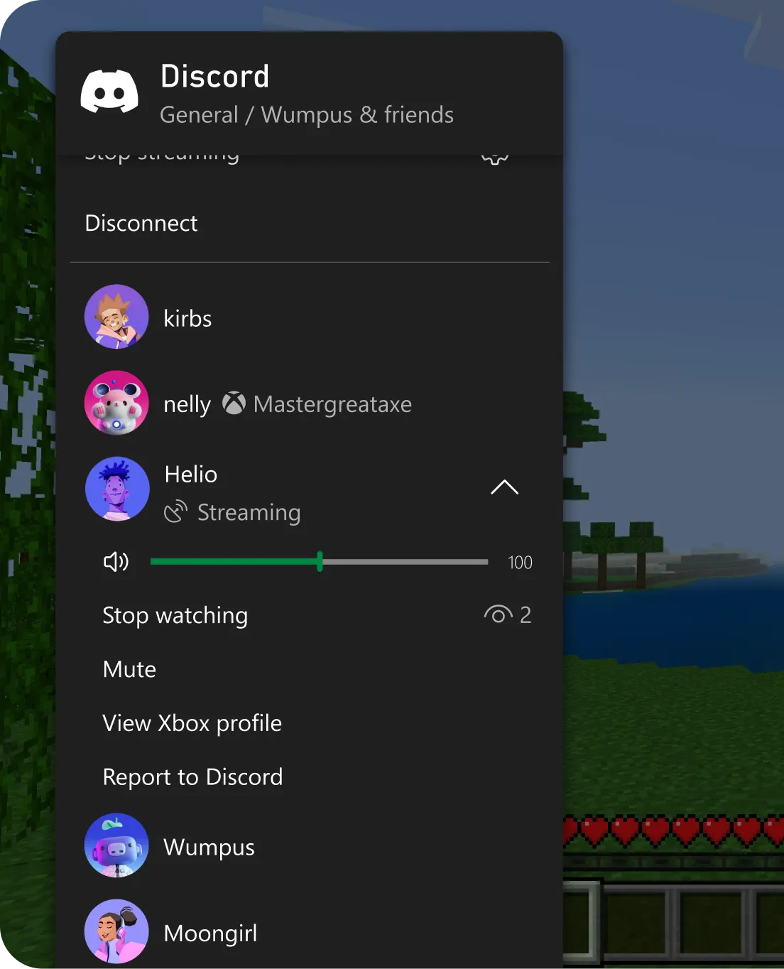 Discord 主机连接界面